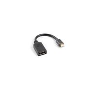 Lanberg Adaptateur Mini DisplayPort AD 0003 BK 1.2 vers DisplayPort femelle avec câble 10 cm
