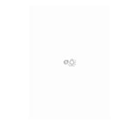 Adaptateur ogive 78x1,2mm CAME YK5106