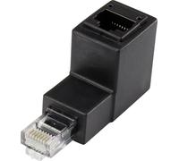 Renkforce Adaptateur RJ45 CAT5e coudé à 90° vers le bas (CAT5e, 0 m), Câble réseau
