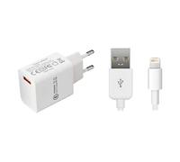 - Adaptateur secteur - 12 Watt - blanc - pour Apple iPad/iPhone/iPod (Lightning)