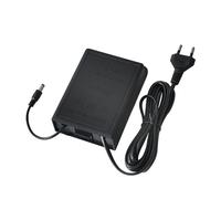 Adaptateur Secteur Double Fil 12 V 2 A EU