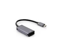Adaptateur USB-C mâle vers DisplayPort fem. - gris