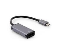 Adaptateur USB-C mâle vers DisplayPort fem. - gris