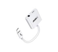 Adaptateur USB-C mâle vers Jack et USB-C femelle Argenté