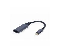 Adaptateur USB-C vers DisplayPort M/F (Noir)