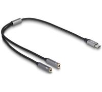 Adaptateur USB-C vers double jack - DeLock