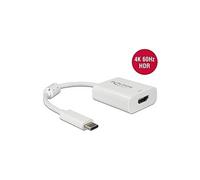 Adaptateur USB Type-C vers HDMI (DP Alt Mode) 4K 60 Hz avec Radio HDR
