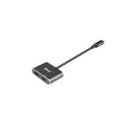 - Adaptateur vidéo - 24 pin USB-C (M) pour HDMI, DisplayPort (F) - USB 3.2 Gen 2 / DisplayPort 1.4 - 20 cm - support pour 4K60Hz (3840 x 2160)