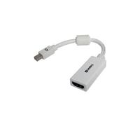 adaptateur vidéo - DisplayPort / HDMI