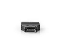 - Adaptateur vidéo - DisplayPort (M) pour HD-15 (VGA) (F) - noir