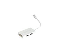- Adaptateur vidéo - Mini DisplayPort mâle pour HDMI, DVI, DisplayPort femelle - 10 cm