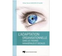 Adaptation organisationnelle dans les theories manageriale ST HIL WAMEDZRO (Auteur)