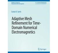 Adaptive Mesh Refinement In Time-Domain Numerical Electromagnetics