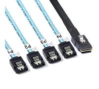 ADCAUDX Lot de 2 câbles Mini SAS vers SATA : 0,5 m SFF-8087 vers SATA Forward Breakout Cable SFF8087 SAS Controller vers disque dur (0,5 m)