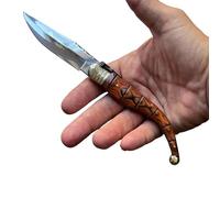 ADCSHOP Couteau Classique Catalan 22,00 cm - lame 9,30 cm acier inoxydable brillant - poignée en stamina vernie de 12,50 cm - poids 91,50 g - Bushcraft Idéal pour la portabilité et un usage quotidien.