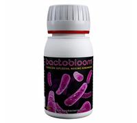 Additif en Poudre MicroBactéries pour Floraison Agrobacterias BactoBloom (50g)