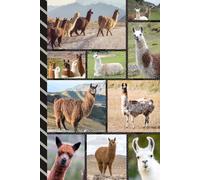 Address and Password Book Combo: Large Print | Discreet | Log Emails - Addresses - Phone Numbers - Birthdays - Web Login | Small Contact Keeper | Great Gift For Seniors | Llama Cover