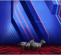 None - This is The Second Album of A Band Called Adebisi Shank