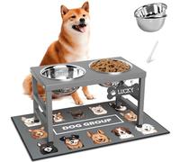 ADENGL Gamelles surélevées pour chien, hauteur 25,4 cm, support de bol surélevé avec 2 gamelles en acier inoxydable (1,644 g) et tapis anti-déversement pour races de moyennes, grandes et petites races