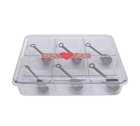 Adfaga Plateau de service divisé avec 6 cuillères, 6 compartiments, récipient à condiments divisés de grande capacité pour la cuisine, la salle à manger, le service de fête (Plastique)