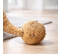 Adftccp Balle pour Chat Effet Fourrure De Lapin avec Cataire, Jouet Peluche À Chasser pour Chats D’intérieur Et Chatons, Lavable Faible Perte avec Boucle pour Jeu Et Complicité (10 PCS)