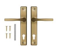 ADGO Lot de 72 poignées de porte gauche et droite - En aluminium - Acier galvanisé - Une poignée pour une serrure étroite sur une longue plaque peinte (doré)