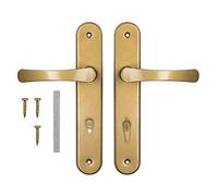 ADGO Poignée de porte pour 72 portes de WC - En biscuit - Gauche et droite - Plaque longue en aluminium - Pour porte de toilettes - Poignée de porte (doré)