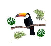Adhésif décoratif Mural Toucan