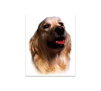 Adhésif Golden Retriever, 14 x 16 cm