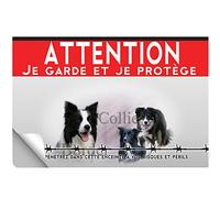 Adhésif plastifié Attention au chien chien border collie