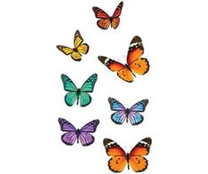 Adhésifs de vitres papillons Multicolore G