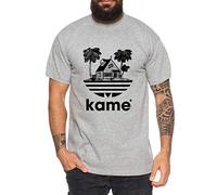 Adi Kame House - T-Shirt pour Homme One Goku Dragon Master Son Ball Vegeta Turtle Roshi Piece Golds DB, Farbe2:Gris Chiné, Größe2:Small