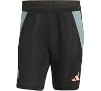 Adidas Adidas Bayern Munich Training Shorts 25/26 Noir XL Male