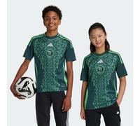 Adidas Algeria Enfant - Jerseys/Réplicas, Vert - Taille 159 - 164 CM - Poly Mesh Green 159 - 164 CM