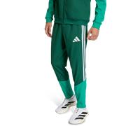 Adidas Pantalon de présentation Algérie 26/27 Vert Homme Taille 2XL Coupe régulière