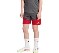 adidas AS Roma Short Training Jr 26/27 Gris Foncé/Rouge 140
