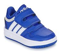 Chaussure Hoops Royal Blue / Royal Blue / Cloud White 20