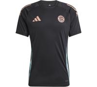 ADIDAS PERFORMANCE T-Shirt fonctionnel 'Away Teamline' rouille / émeraude / noir, Taille S