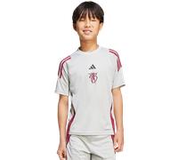 Adidas Bellingham Tiro Enfant - T-Shirts, Gris - Taille 159 - 164 CM - Poly Jersey Grey 159 - 164 CM