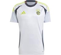 Adidas Benfica Third Shirt 2024 2025 Adults Gris 3XL Male