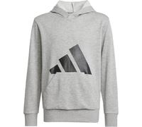 Adidas Big Logo Hoodie Juniors Gris chiné/noir 11-12 ans Male