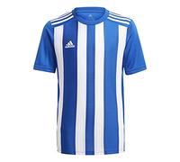 adidas Boys Jersey (Short Sleeve) Striped 21 Jsyy, Royblu/White, GH7323, 164 EU