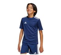 Adidas Campeon 25 Short Sleeve T-shirt Bleu 13-14 Years Enfants