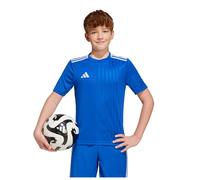 Adidas Campeon 25 Short Sleeve T-shirt Bleu 5-6 Years Enfants