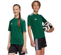 adidas Campeon 25 Training Maillot Jr 140 Vert Foncé/Blanc