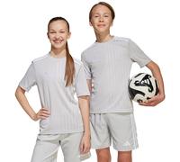Adidas Maillot d'entraînement Campeon 25 Jr 152 Gris/Blanc