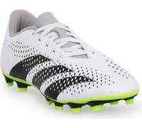 Adidas Chaussures Predator Accuracy 4, GZ0013