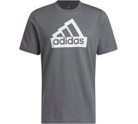 Adidas City Escape Graphic T-Shirt Mens Cinq gris XL Male