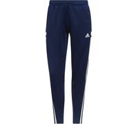 Adidas Con22 Tr Pnt Bleu marine 2 12 (M) Female