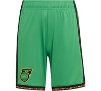 ADIDAS PERFORMANCE Pantalon de sport 'Jamaika 26 x Bob Marley' vert gazon / noir, Taille 176